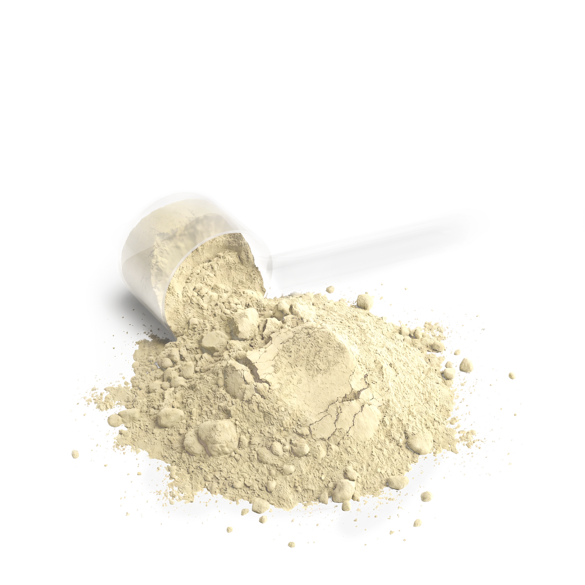 nanonourish™ whey protein vanilla powder in a scoop